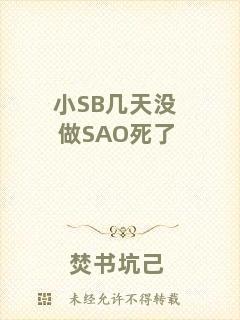 小SB幾天沒做SAO死了