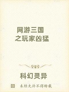 網(wǎng)游三國之玩家兇猛