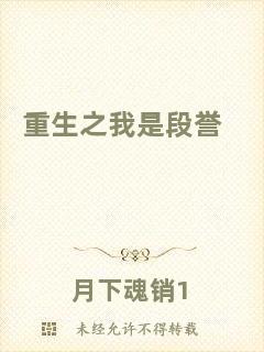 重生之我是段譽(yù)