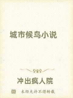 城市候鳥小說