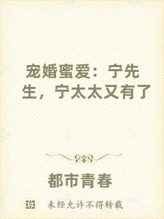 寵婚蜜愛：寧先生，寧太太又有了