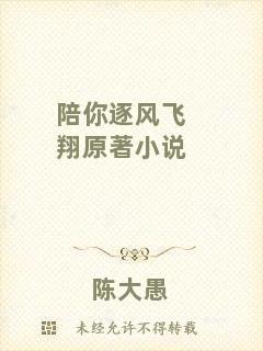 陪你逐風飛翔原著小說