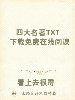 四大名著TXT下載免費在線閱讀