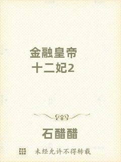 金融皇帝十二妃2