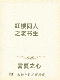 紅樓同人之老書生