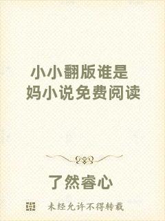 小小翻版誰是媽小說免費(fèi)閱讀