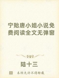 寧貽唐小姐小說免費(fèi)閱讀全文無彈窗