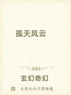 孤天風(fēng)云